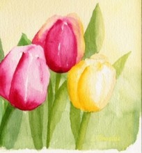 Watercolor Tulip Painting Class Marion Iowa Public Library