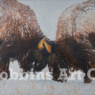 Bison Engagement Oil by Chris Robbins